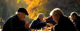 Older men play chess outside in a park